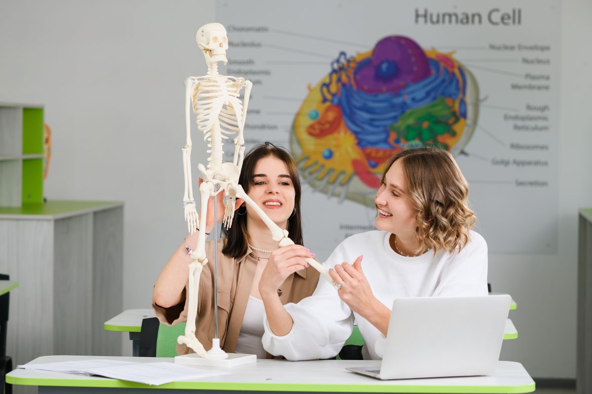 Magazin pentru medicinisti