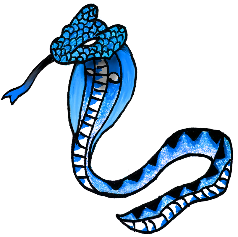 Magazin pentru medicinisti